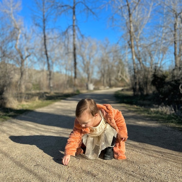 Meet your Posher, Bella - Picture 8 of 12